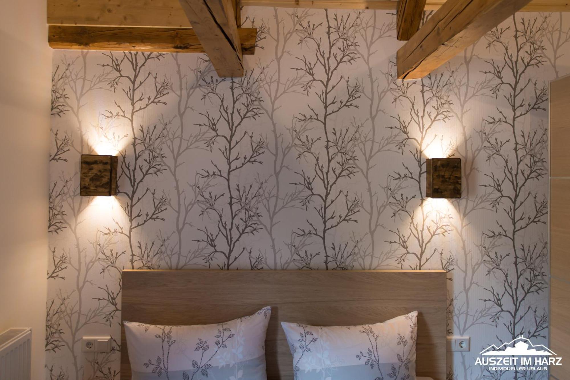 Auszeit Im Harz - Haus 2 Wohnung 5 Ширке Экстерьер фото
