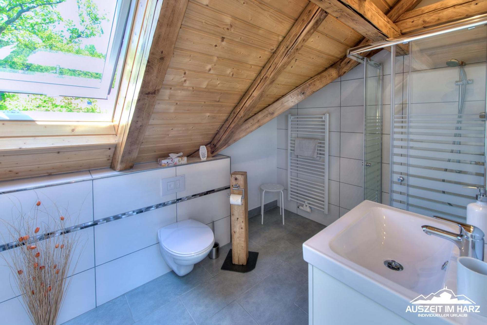 Auszeit Im Harz - Haus 2 Wohnung 5 Ширке Экстерьер фото
